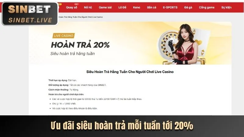 Biểu đồ tỷ lệ cược hấp dẫn tại typhu88 login